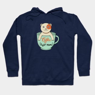 Coffee Right Meow Hoodie